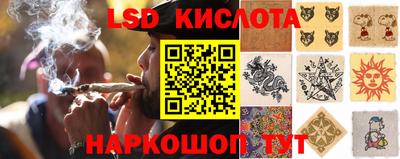 PSILOCYBIN Чебоксары