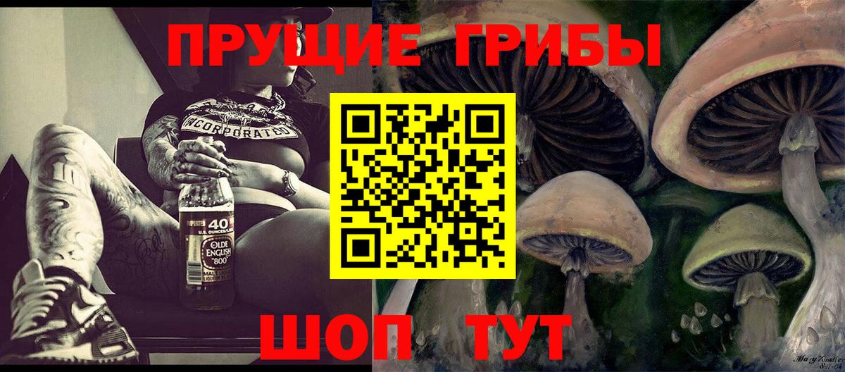 Псилоцибиновые грибы Psilocybe  Вход с VPN  Галлюциногенные грибы мицелий  Алушта 
